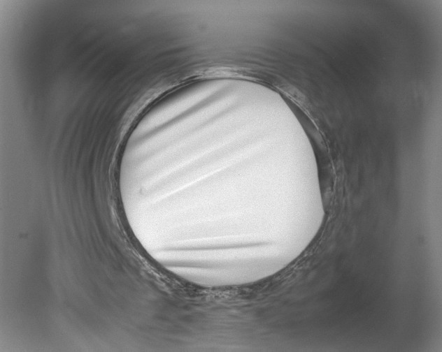 X0000080710289200701021035