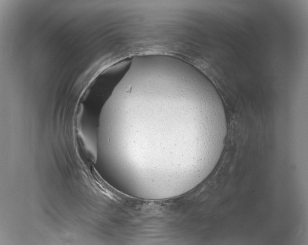 X0000080710290200701021035