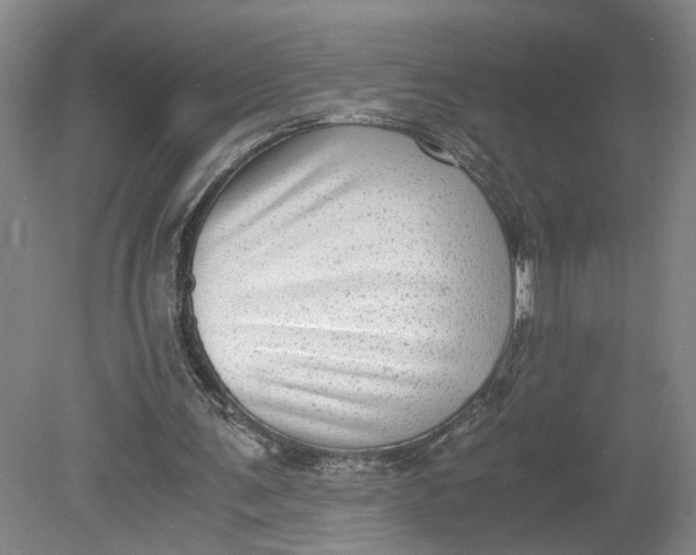 X0000080710291200701021035