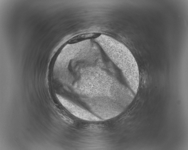 X0000080710292200701021035