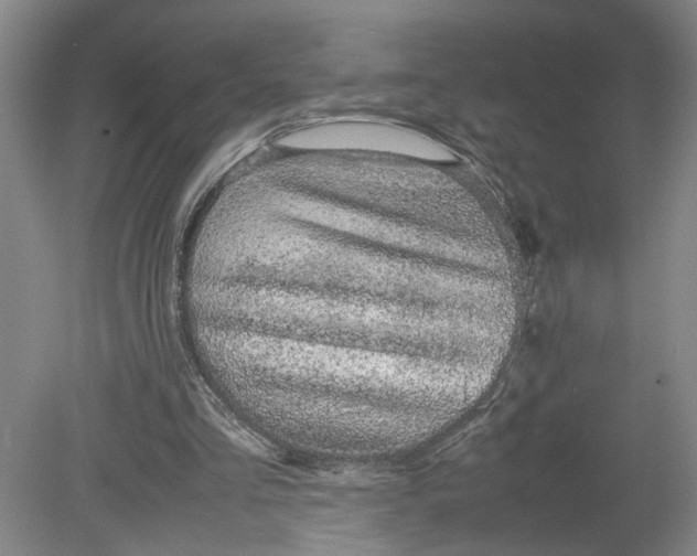 X0000080710293200701021035