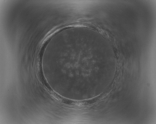 X0000080710295200701021035