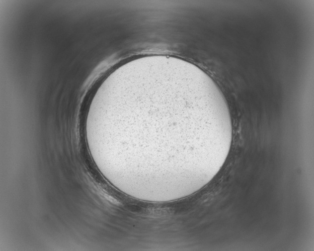 X0000080710296200701021035