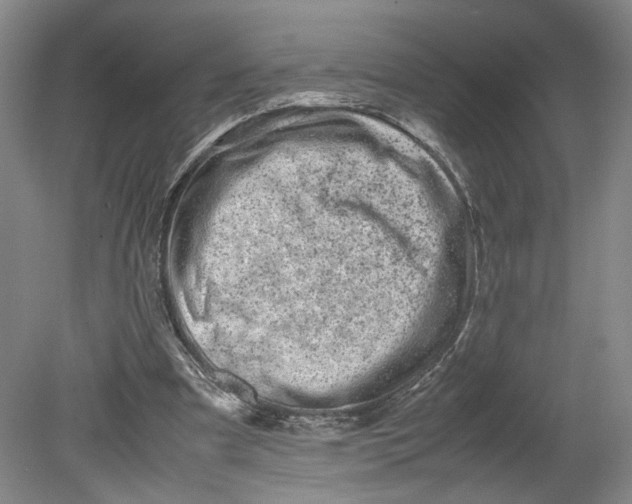 X0000080710297200701021035