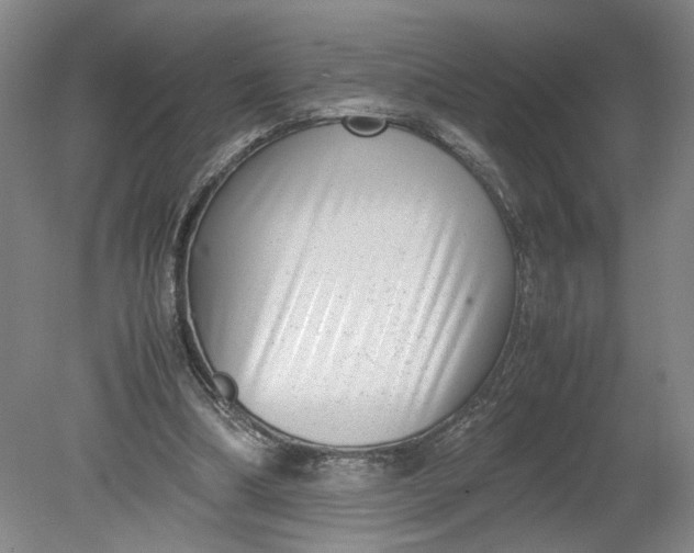 X0000080710298200701021035