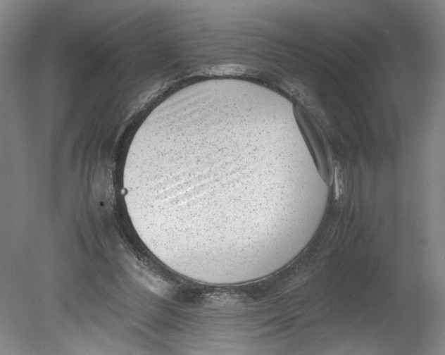 X0000080710300200701021035