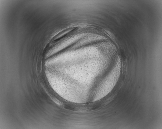 X0000080710301200701021035