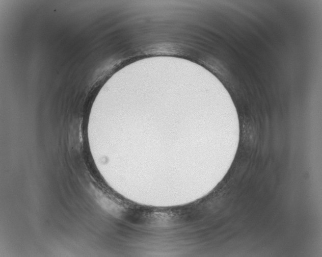 X0000080710302200701021035