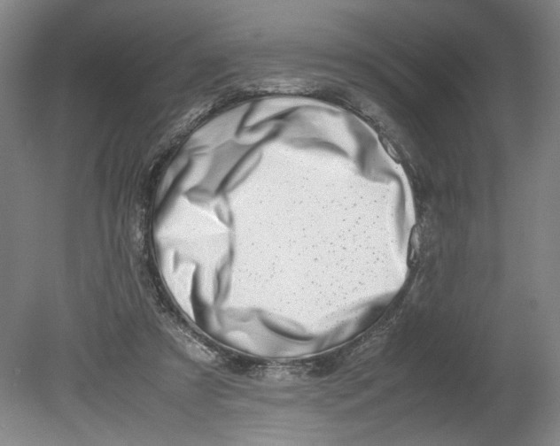 X0000080710305200701021035