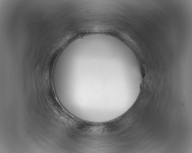 X0000080710306200701021035