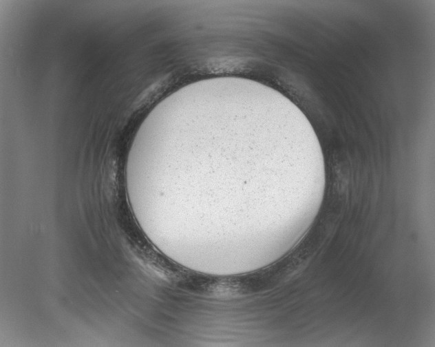 X0000080710308200701021035