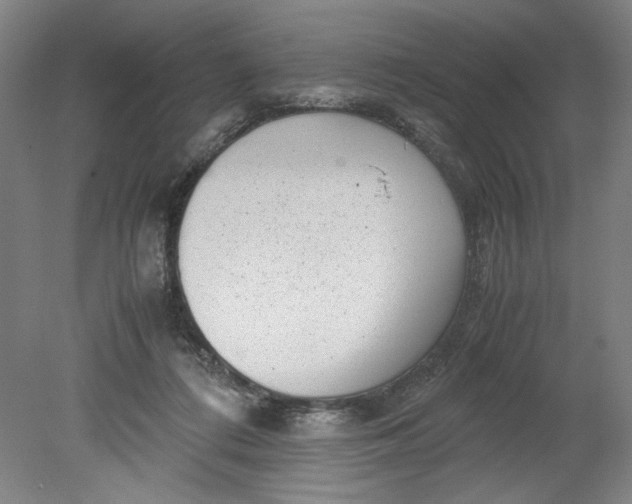 X0000080710312200701021035