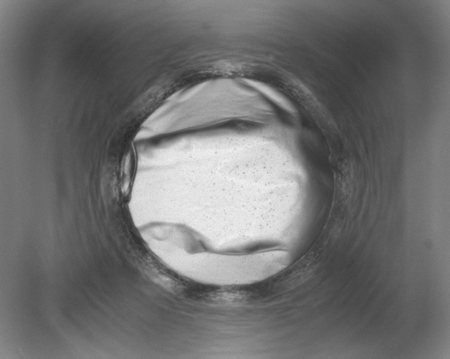 X0000080710313200701021035