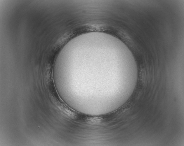 X0000080710318200701021035