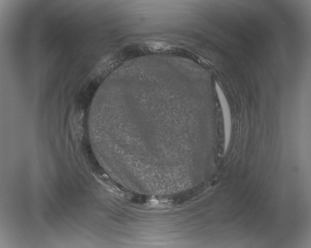 X0000080710319200701021035