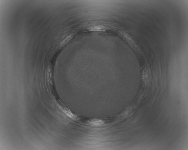 X0000080710322200701021035