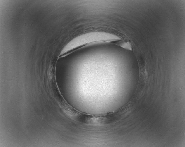 X0000080710323200701021035