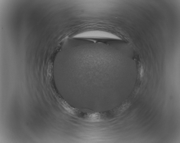 X0000080710325200701021035