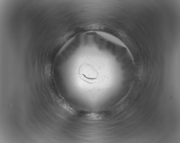 X0000080710326200701021035