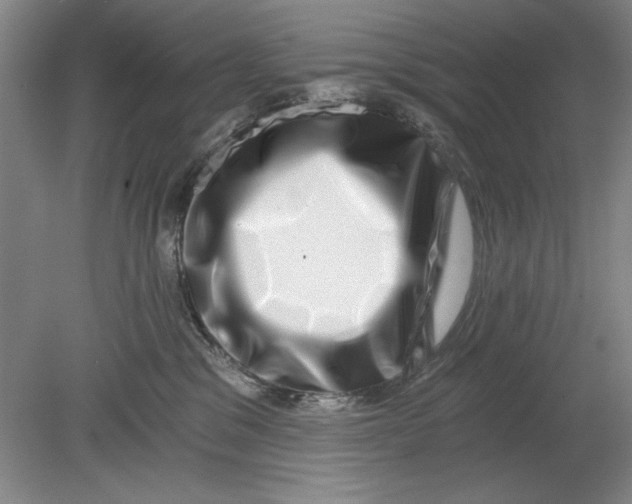 X0000080710329200701021035