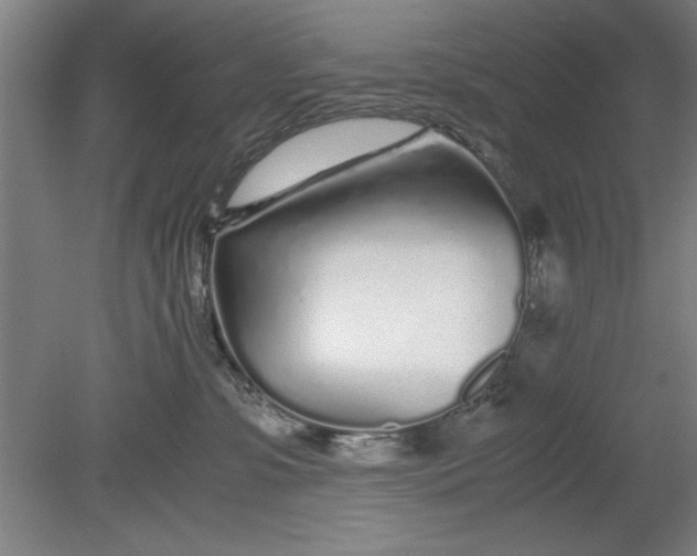 X0000080710331200701021035