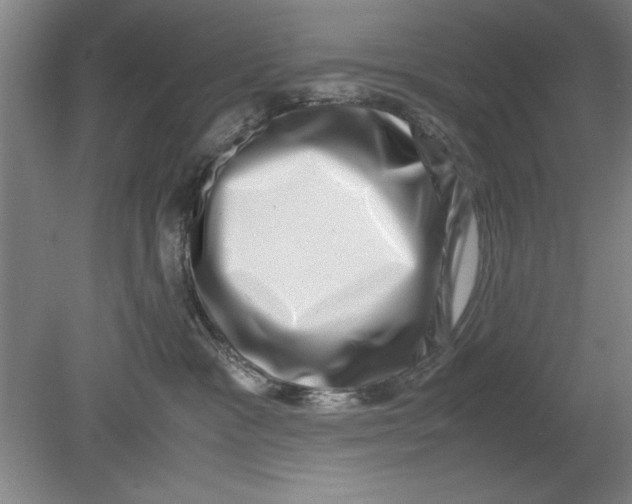 X0000080710333200701021035