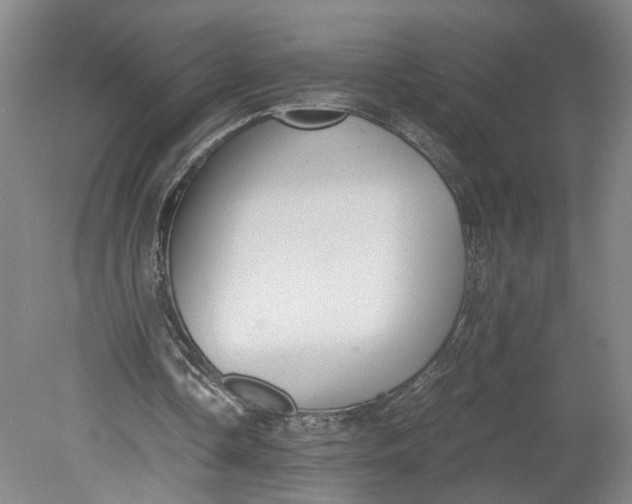 X0000080710338200701021034