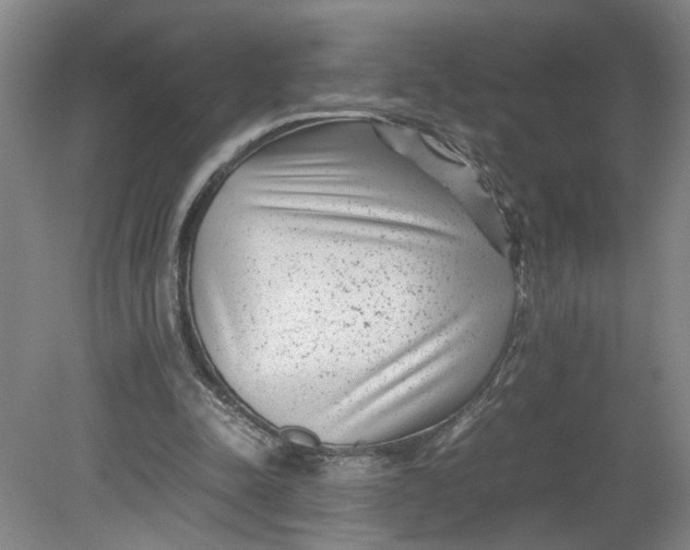 X0000080710342200701021034