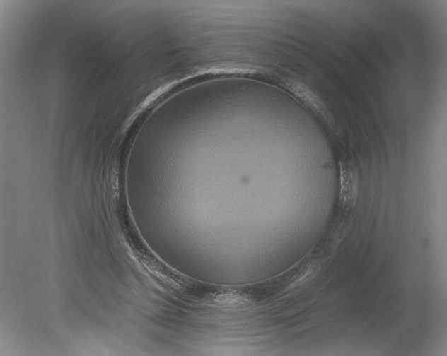 X0000080710348200701021034