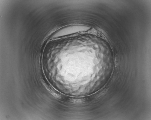 X0000080710349200701021034