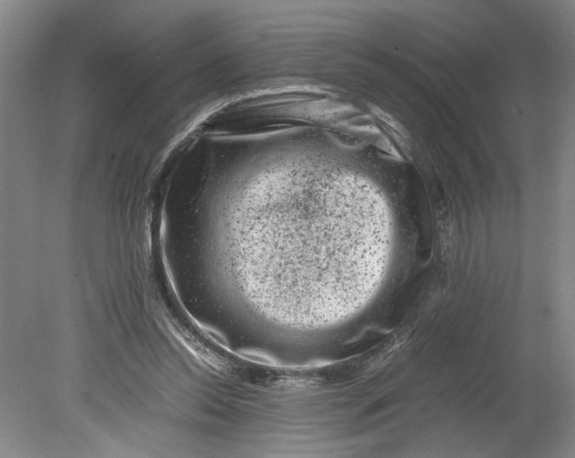 X0000080710350200701021034