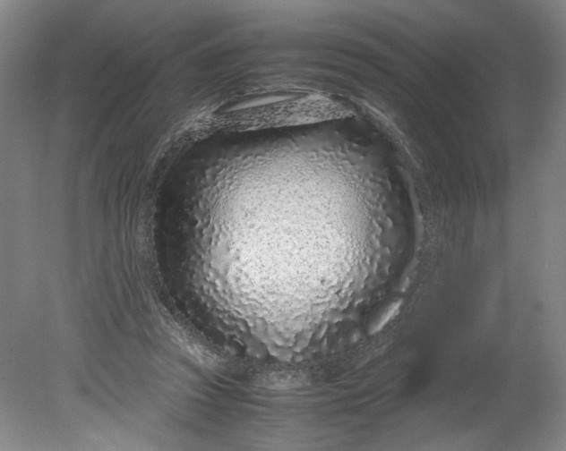 X0000080710353200701021034