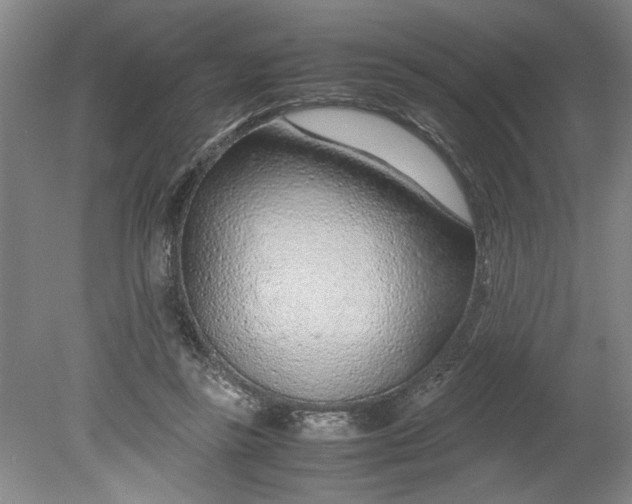 X0000080710355200701021034