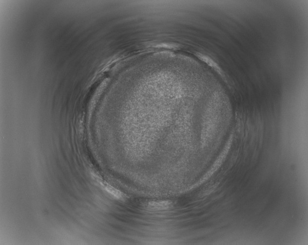 X0000080710357200701021034