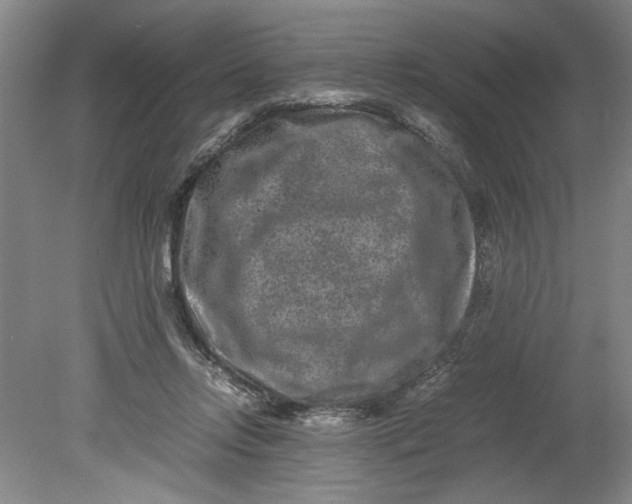 X0000080710358200701021034