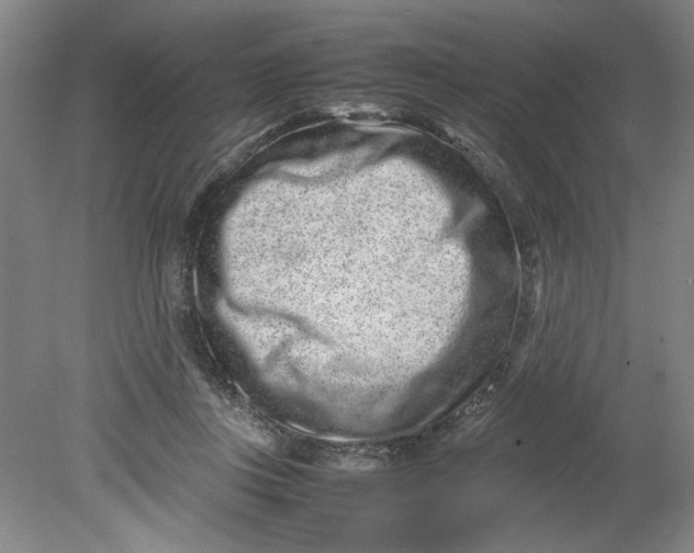 X0000080710359200701021034