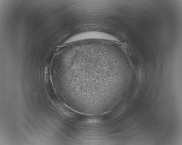 X0000080710360200701021034