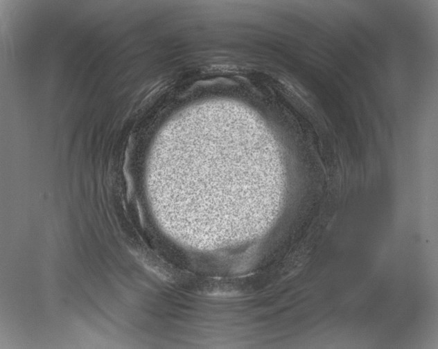 X0000080710361200701021034