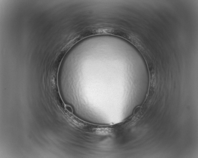 X0000080710363200701021034