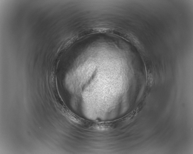 X0000080710365200701021034