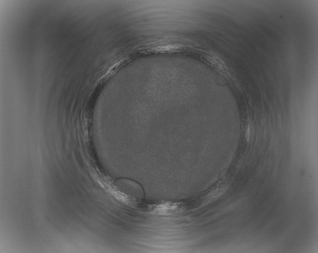 X0000080710366200701021034