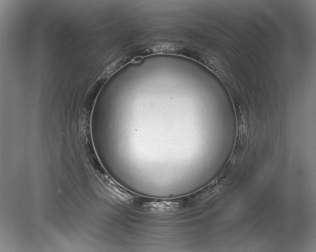 X0000080710367200701021034