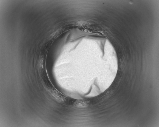 X0000080710368200701021034