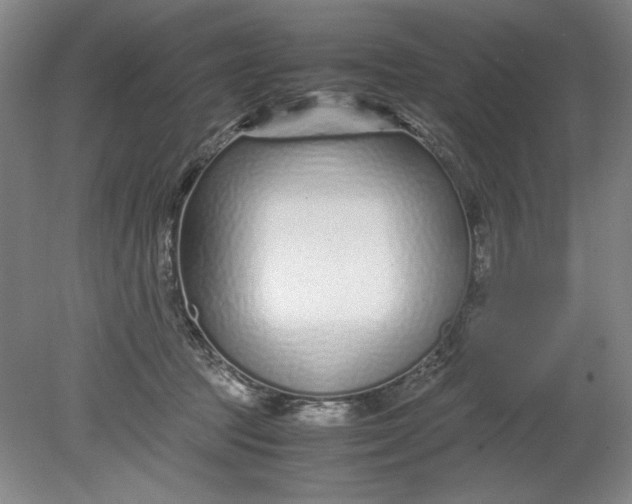 X0000080710369200701021034