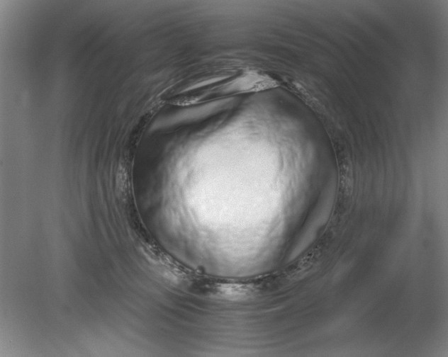 X0000080710371200701021034