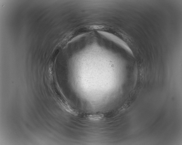 X0000080710373200701021034