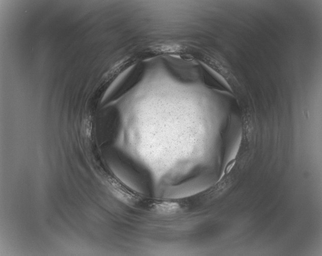 X0000080710374200701021034