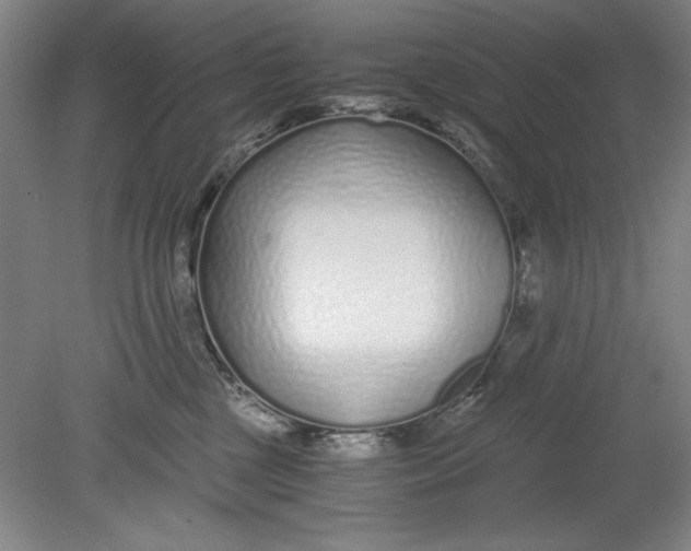 X0000080710377200701021034