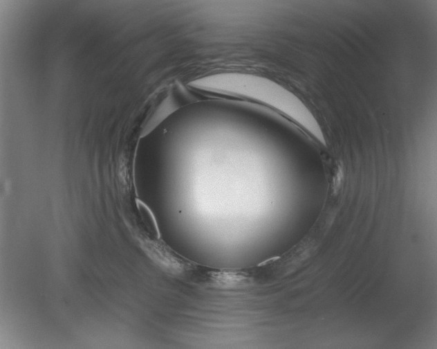 X0000080710380200701021035