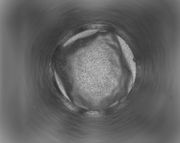 X0000080710381200701021035